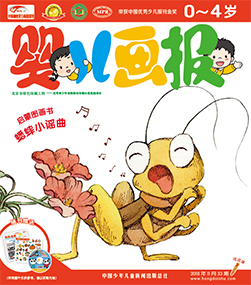 婴儿画报2018年11月第33期