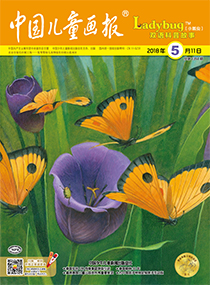 Ladybug2018年5月