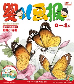 婴儿画报 20年7月第21期